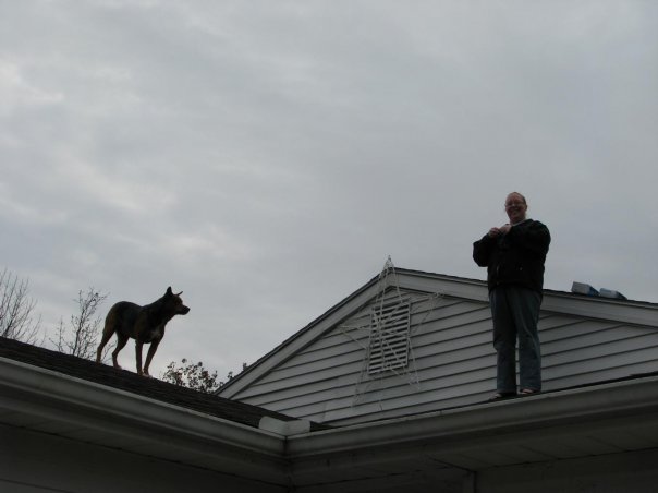 lola on the roof