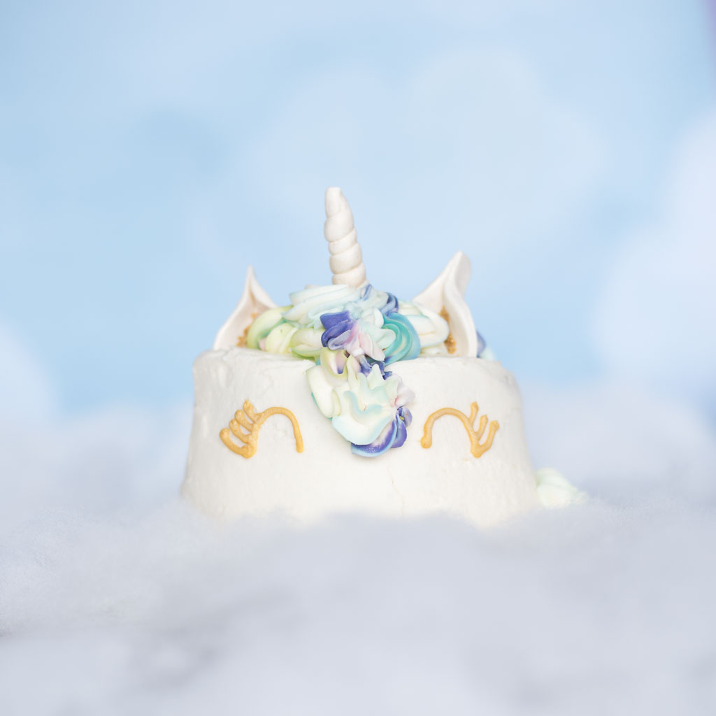 Cake Smash - Birthday- Unicorn cake